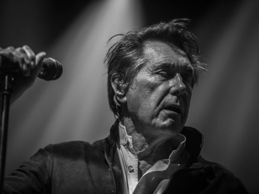 Big Concerts: Bryan Ferry